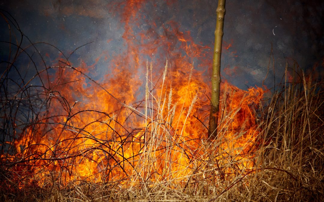 Restoring Homes and Giving Hope: Smoke Damage Restoration in Council Bluffs, IA