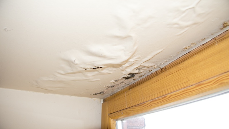 Fast repairs for Water Damage Restoration in Services Dallas-Ft.Worth, TX