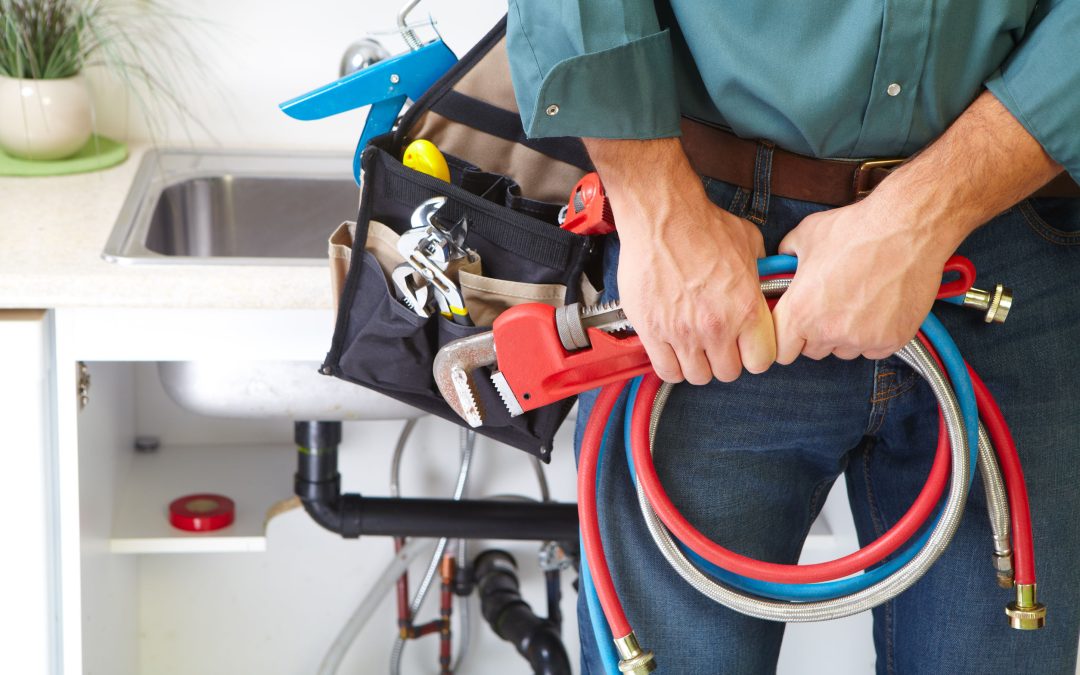 Plumber Near Me: Your Go-To Guide for Local Plumbing Solutions