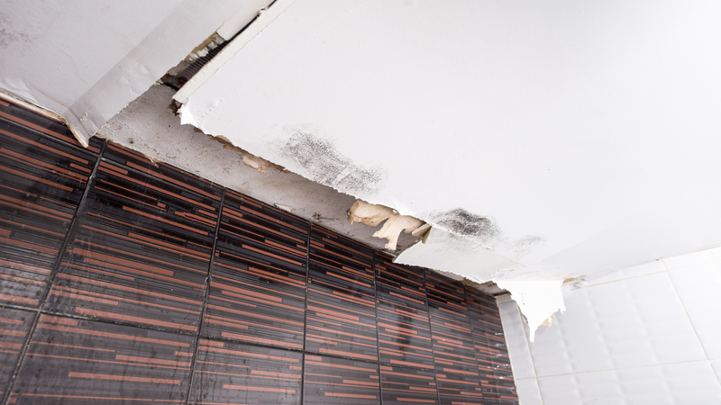 Introducing the Essentials of Water Damage Repair Service in Omaha, NE: Your Guide to Restoration