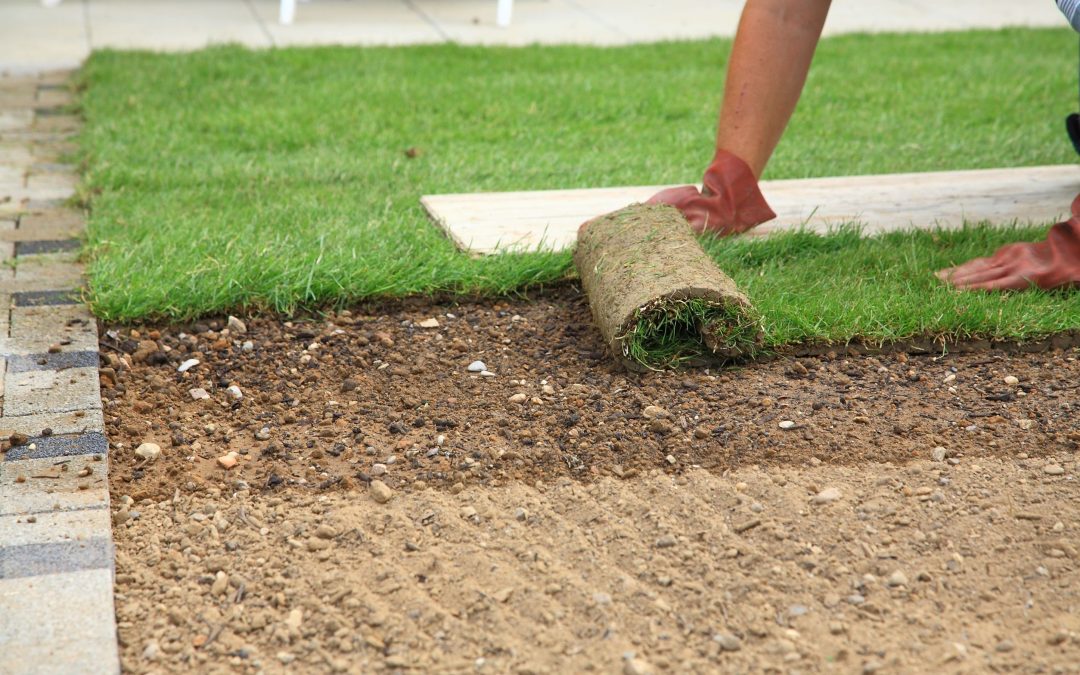 Residential Turf Installation in Houston is a greener option for transforming your lawn