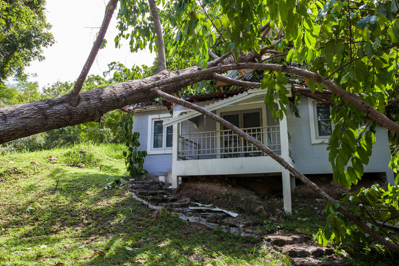 Effective Storm Damage Cleanup in Saunders County, NE: What You Need to Know