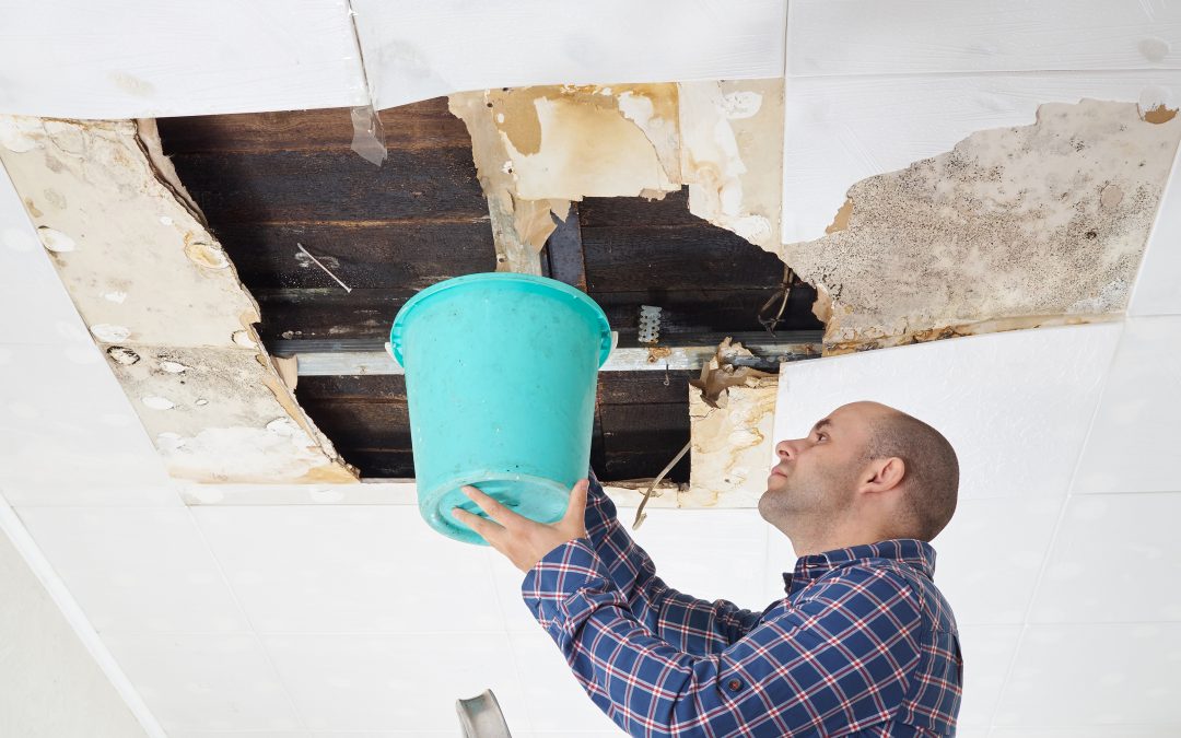 Swift and Reliable Water Removal Services in Dallas-Ft.Worth, TX