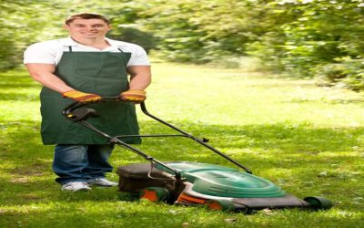 Premier Lawn Care Company in Maple Grove: Enhancing Outdoor Spaces with Expertise
