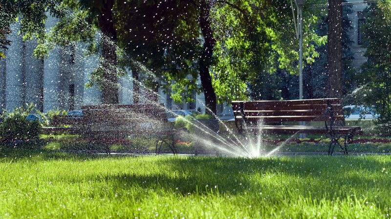 Finding the Best Irrigation Companies Austin to Save Water and Money