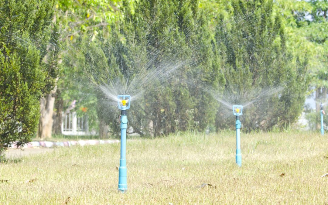 Prevent Costly Damage with Timely Irrigation Repair Round Rock Maintenance