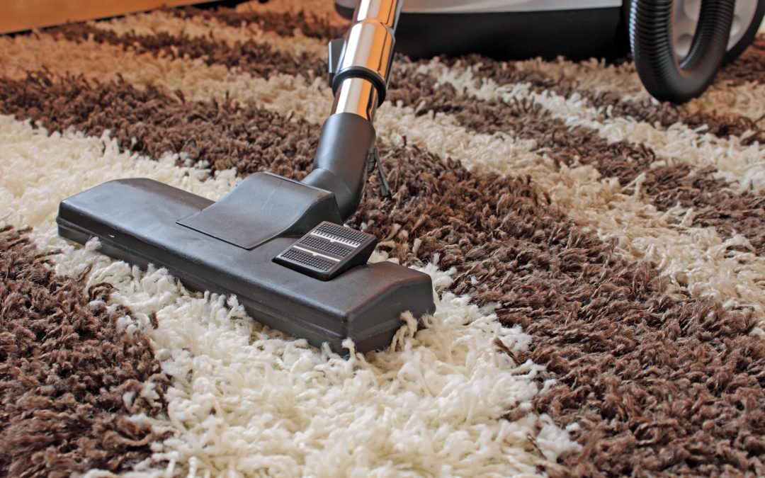 Enjoy Fresh and Healthy Homes With Carpet Shampooing Services Tampa FL Residents Trust