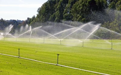 Restore Your Lawn’s Health with Sprinkler Repair Round Rock Solutions for Homeowners