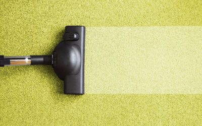 Unmatched Refreshment Awaits With Cleaning Carpet Tampa FL for Spotless Home Comfort