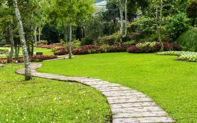 Unlock Lasting Value With Residential Hardscaping Services in Henrico, VA, for Your Curb Appeal