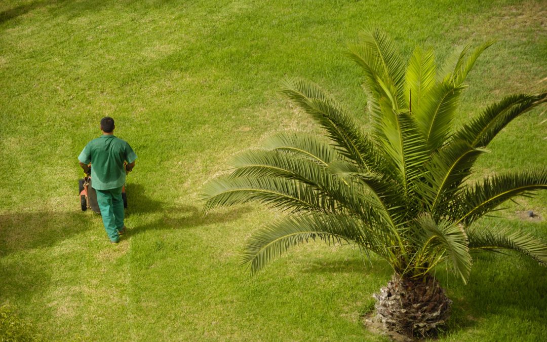 Benefits you gain from choosing residential lawn mowing services in Plymouth, MN